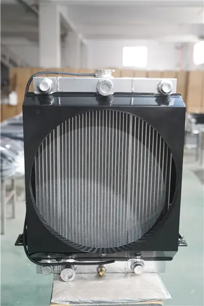 d1 (4)
